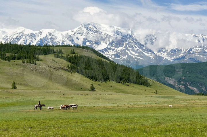 Участок 75,8 га (СНТ, ДНП)