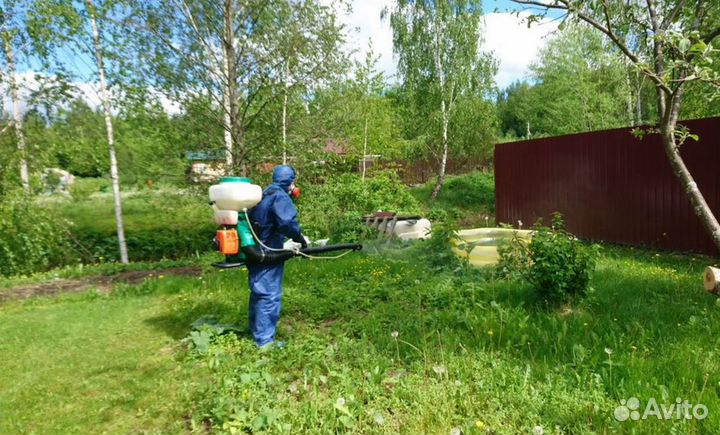 Обработка от клещей кротов комаров борщевика ос