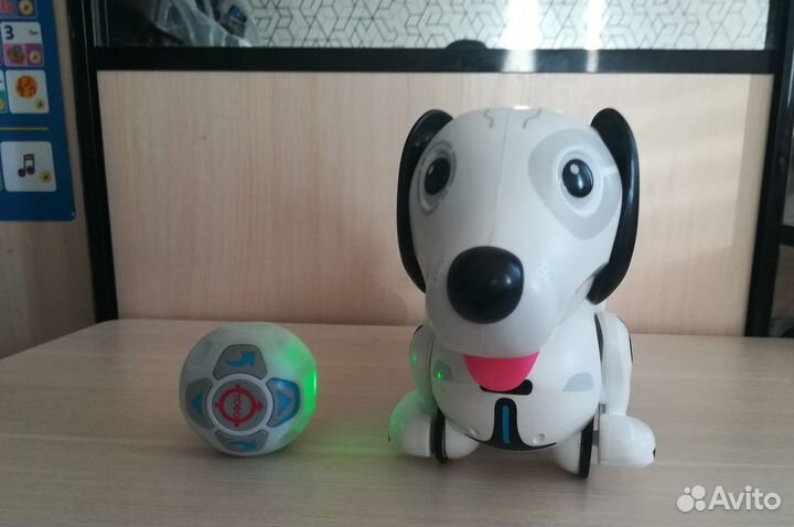 Собака робот Дэкел