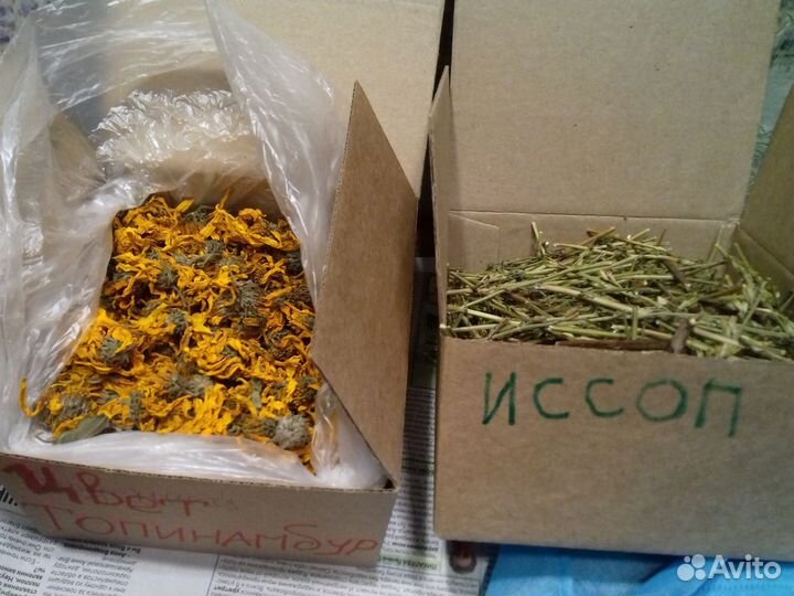 Сухие лечебные травы