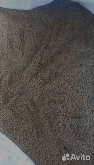 Семена люцерны