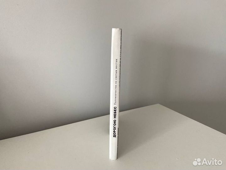 Книга «Дорогою небес» Л. В. Сурова