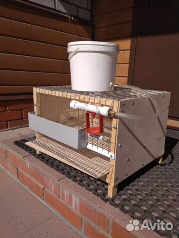 Клетка для перепелов