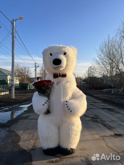 Мишка на праздник