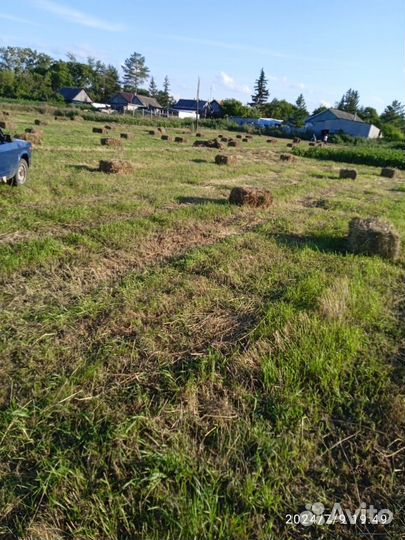 Продам сено в рулонах и тюках