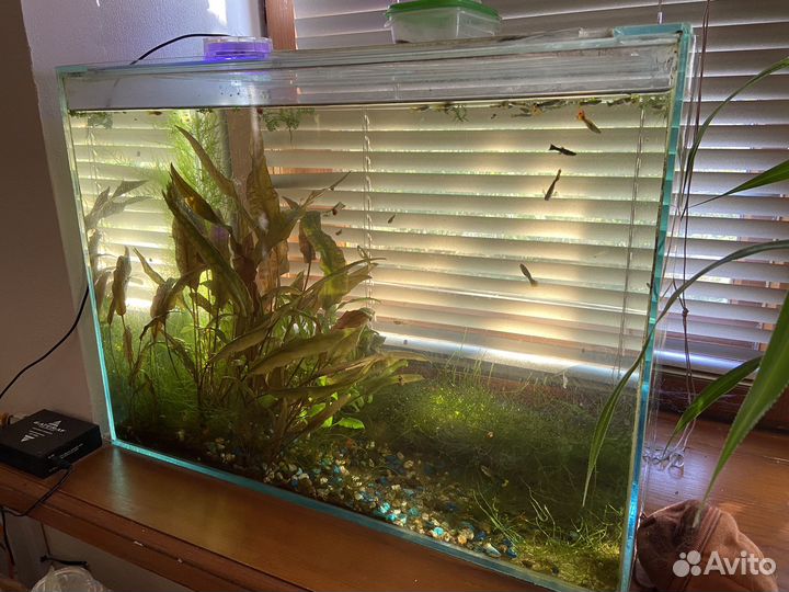 Аквариум
