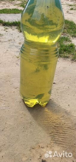 Дизельное топливо