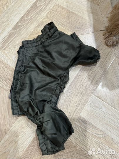 Вещи для маленьких собак