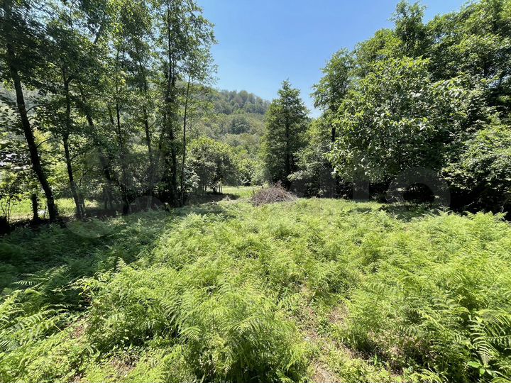 Участок 5 сот. (СНТ, ДНП)