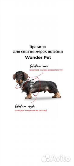 Шлейка для небольшой собачки