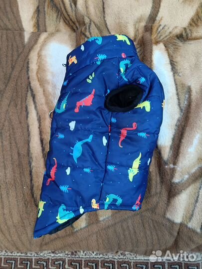 Одежда для собак