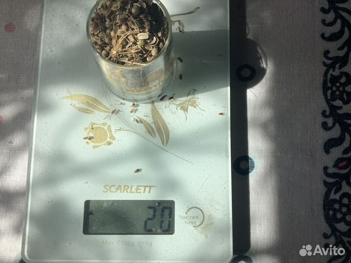 Семена укропа и кориандра(кинзы)