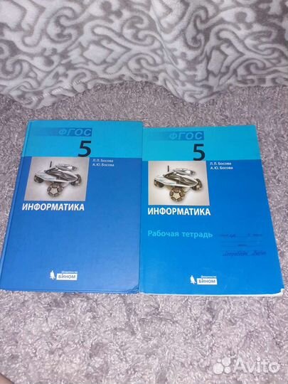 Рабочая тетрадь и учебник по информатике