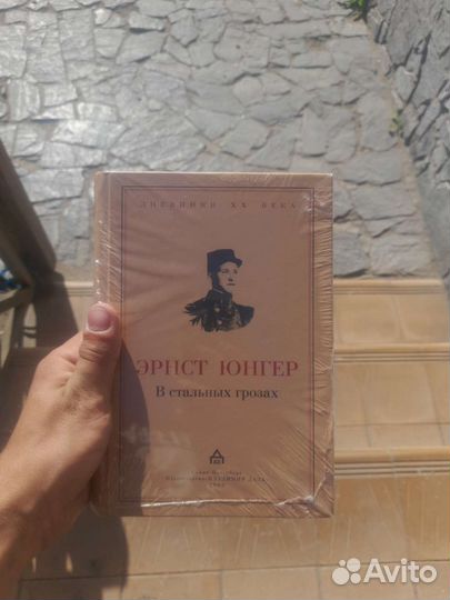 В стальных грозах