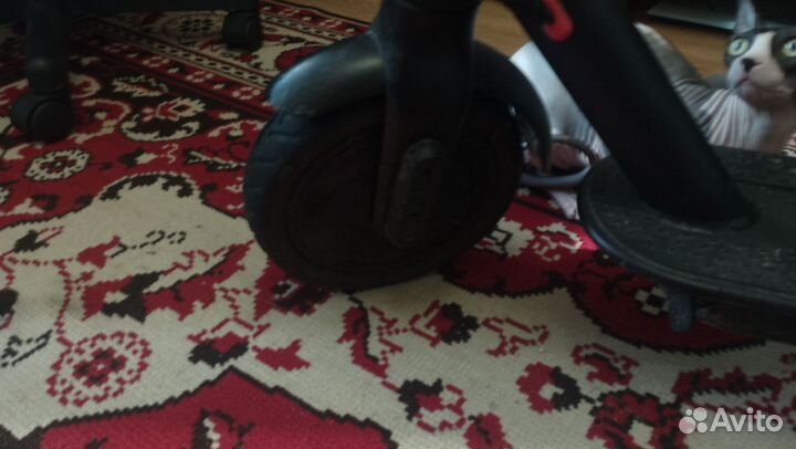 Самокат взрослый бу