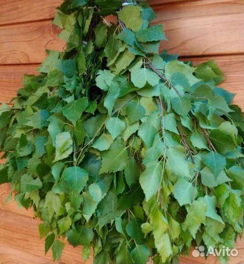 Березовые веники 2023