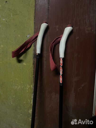 Беговые лыжи tisa, nordway, karhu