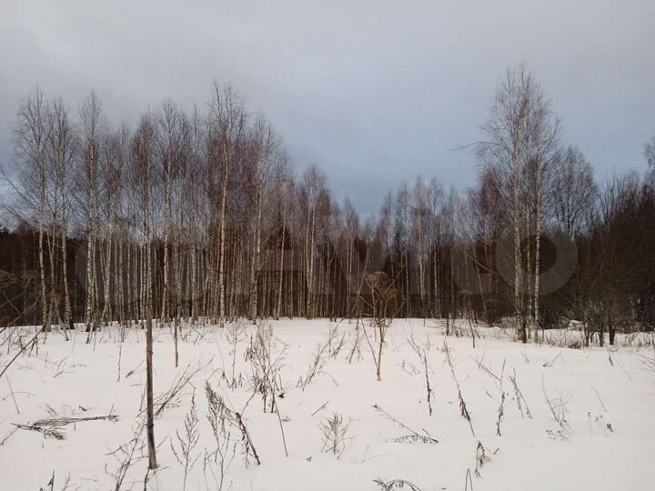 Участок 41,3 сот. (ИЖС)
