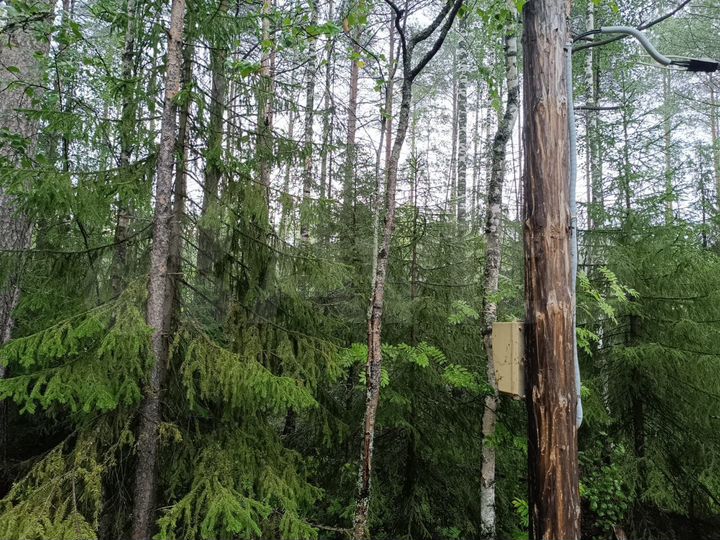 Участок 20 сот. (ИЖС)