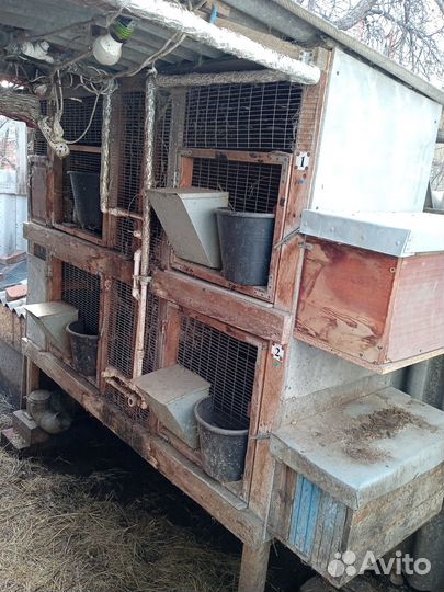 Клетка для кролика