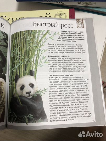 Тайны природы детская энциклопедия