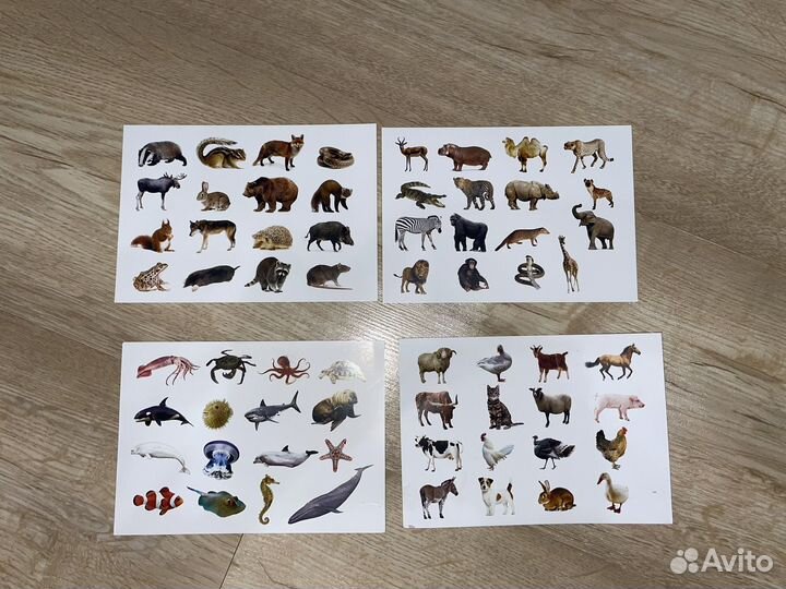 Карточки Домана