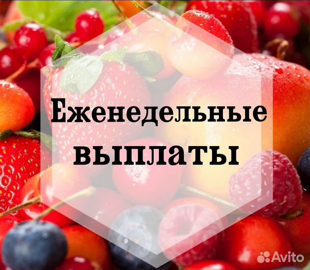 Продавец-кассир еженедельная оплата