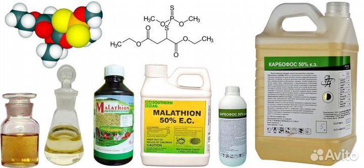 Карбофос концентрат от клопов