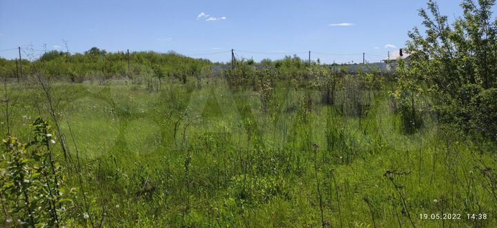 Участок 10 сот. (ИЖС)