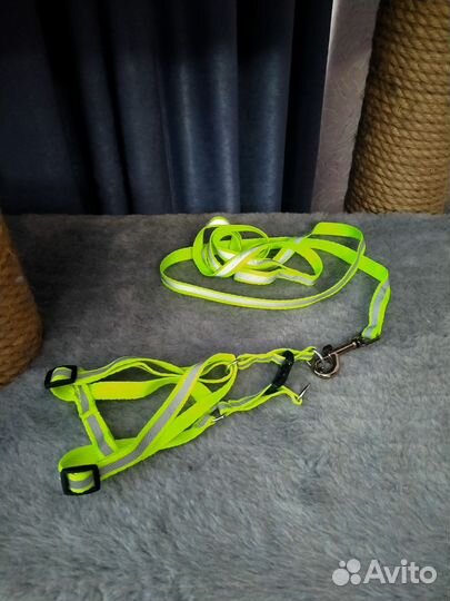 Шлейка для кошки или маленькой собаки