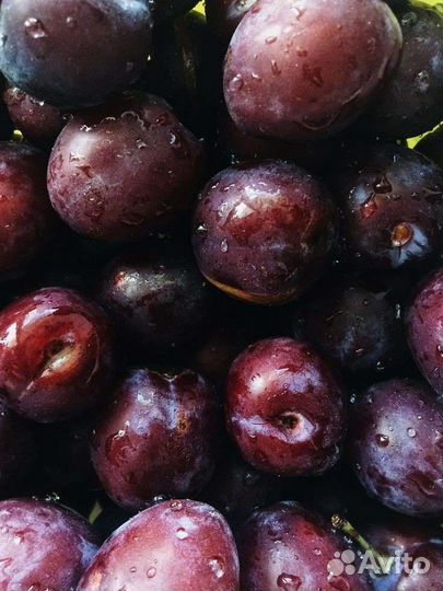 Фрукты, овощи, ягоды на заказ