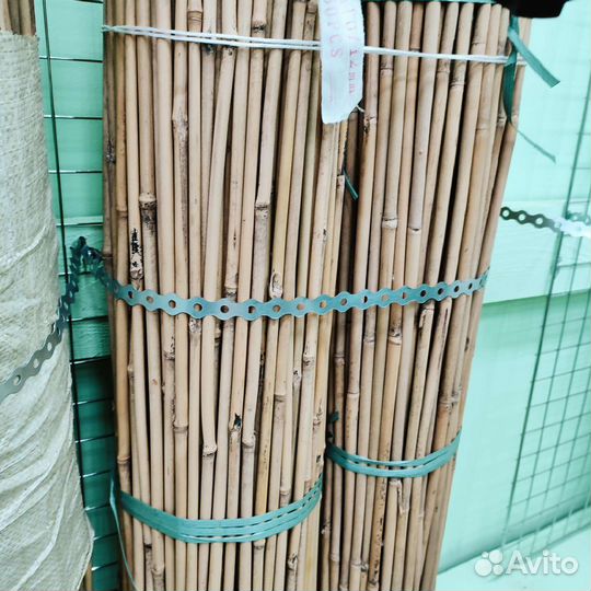 Бамбук ствол/стебель/ветка для декора до 310см