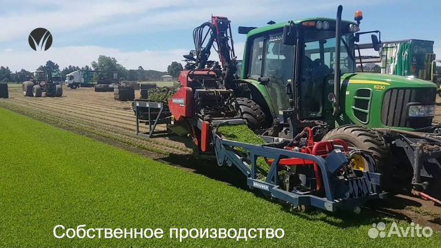 Газон рулонный без посредников Мятлик 100 купить в Краснодаре | Товары ...
