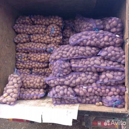 Грузоперевозки межгород