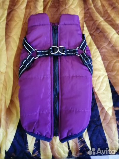 Одежда для маленьких собак, сумка переноска