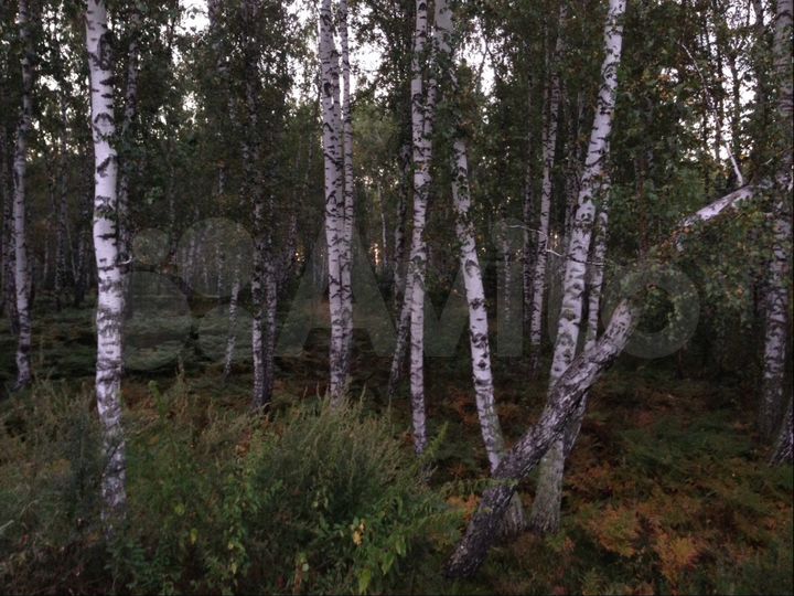 Участок 27 сот. (ИЖС)