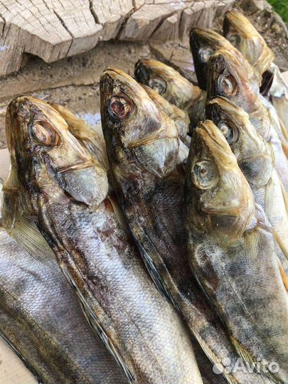 Рыбка Сушёная Судак