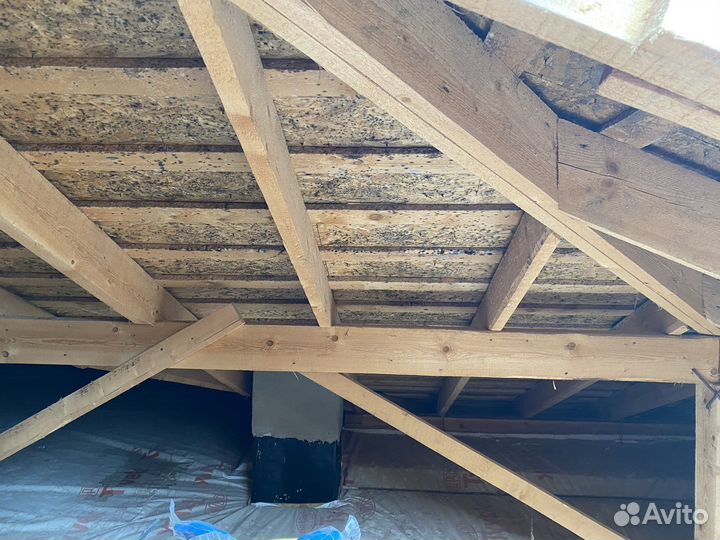 Осушение домов, квартир и офисов после потопа