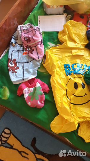 Зоотовары одежда