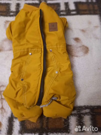 Одежда для собак мелких пород