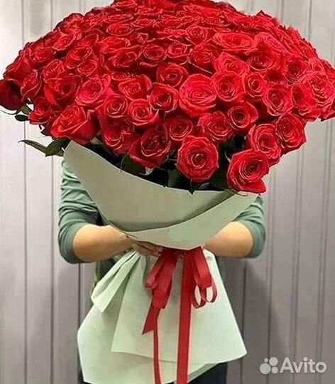 Высокие Розы Гиганты Доставка Круглосуточно