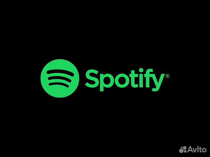 Spotify Premium 3/6/12 месяц