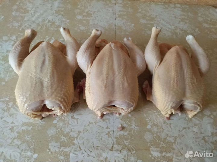 Мясо домашнего бройлера