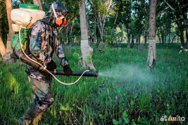 Уничтожение кротов клещей борщевика ос комаров