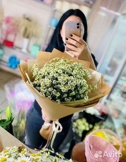 Цветы ромашки