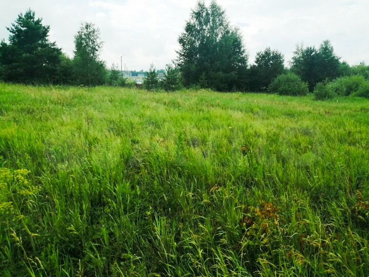 Участок 16,5 сот. (ИЖС)