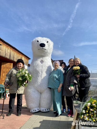 Белый Мишка. Поздравление. Ростовая кукла