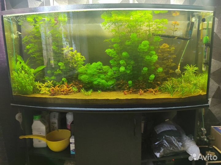 Аквариум