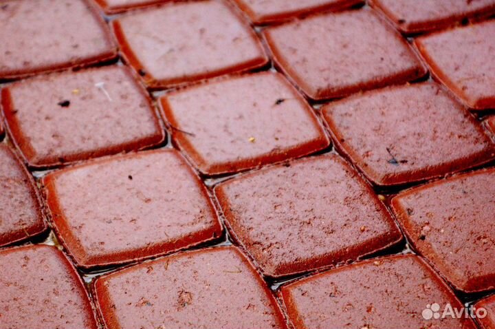 Брусчатка «Классико»