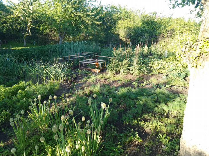 Дача 42 м² на участке 5 сот.